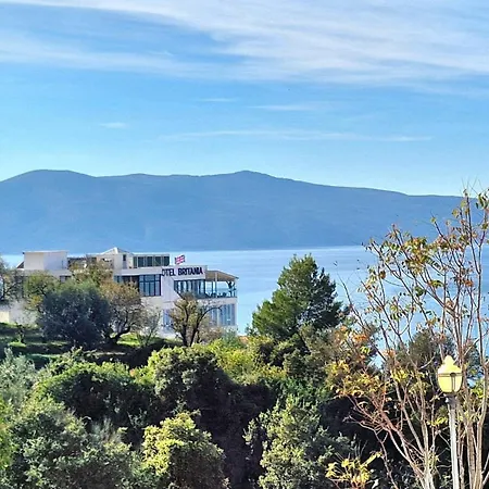 Noah * Vlorë